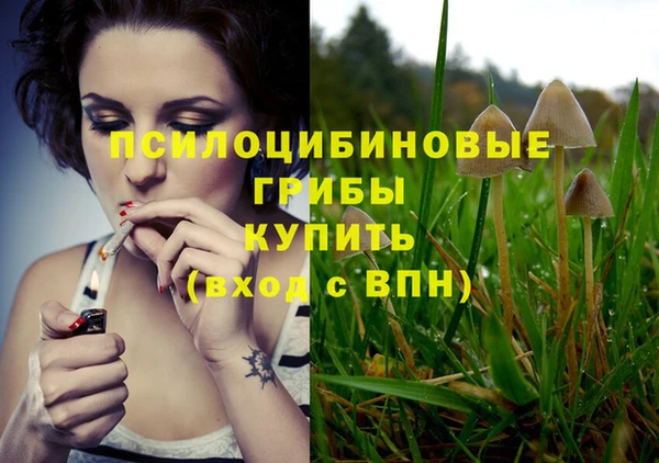 СК Балахна
